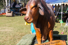 Tiaro-Field-Day-2019