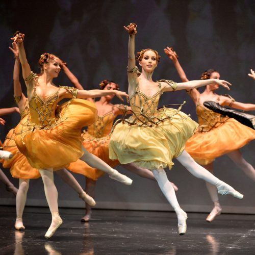 A Festival Of Russian Ballet