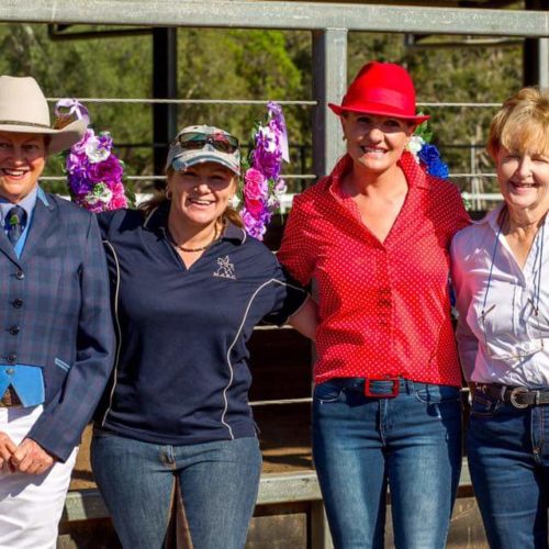 Horse lovers will love the Fraser Coast All Breeds Show