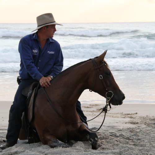 International horseman Guy McLean to perform in Hervey Bay