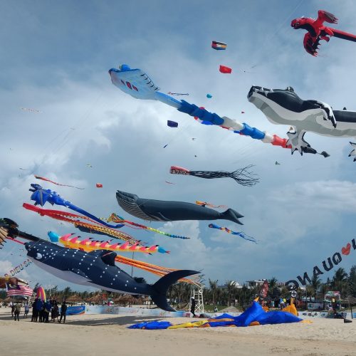 It’s up, up and away for huge kites at Fraser Coast Kite Karnival