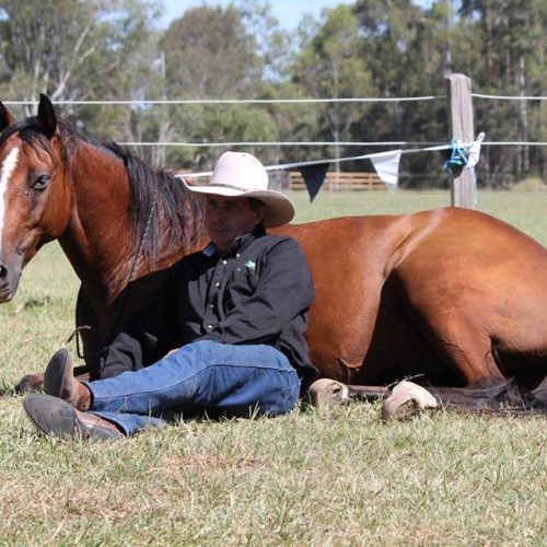 Get along to the Tiaro Field Day this Saturday! 