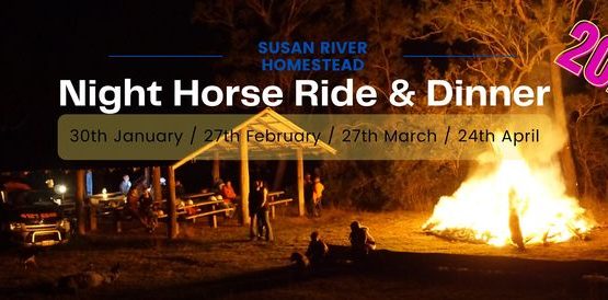 Night Horse Ride & Dinner Night Horse Ride & Dinner