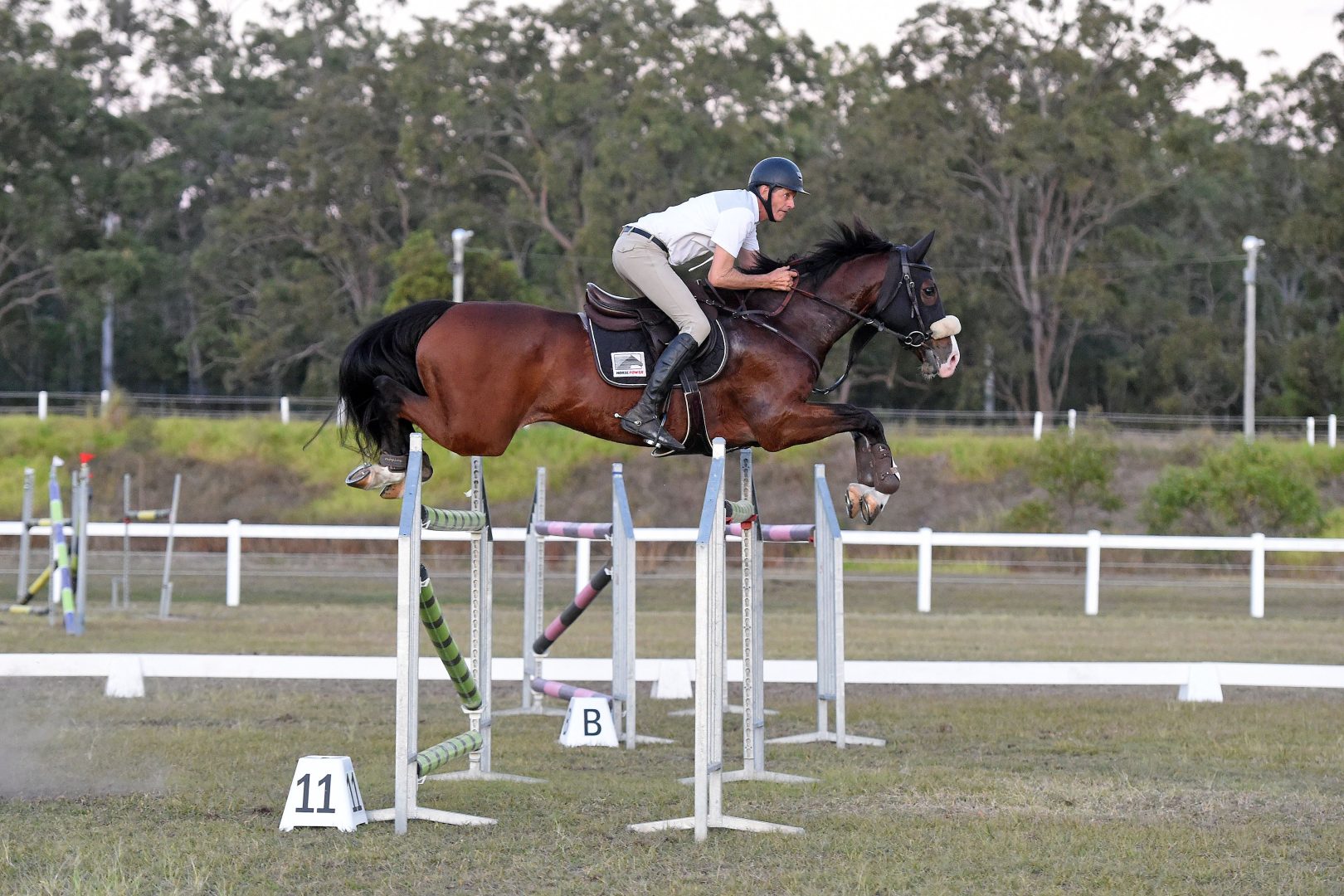 Maryborough hosting equestrian state championships