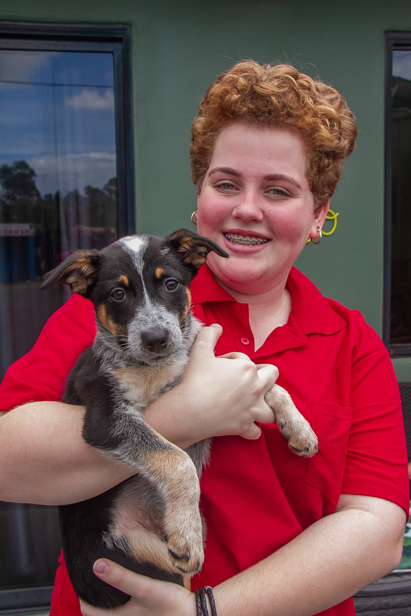Owning a pet comes with responsibility What's On Fraser Coast Magazine