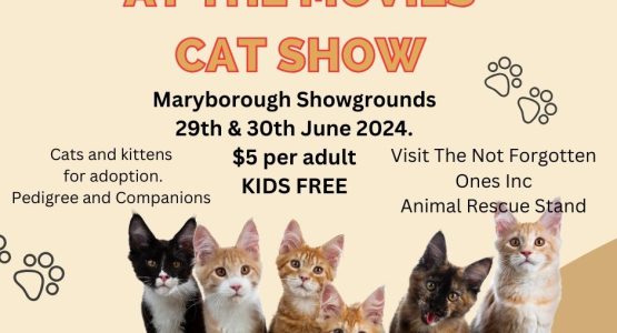 Cat Show and markets