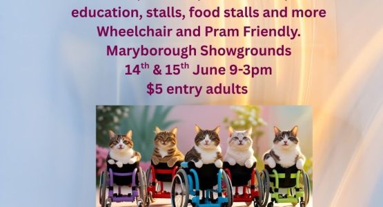 Cat Expo Cat Expo