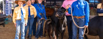 Celebrating 150 years of fun at the Fraser Coast Show
