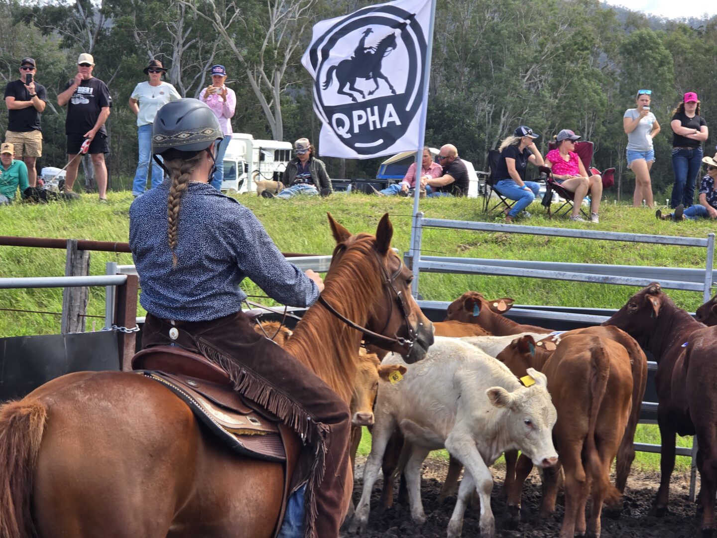 Fusion Forestry Mulching Ranch Sorting & Team Penning Series 2026