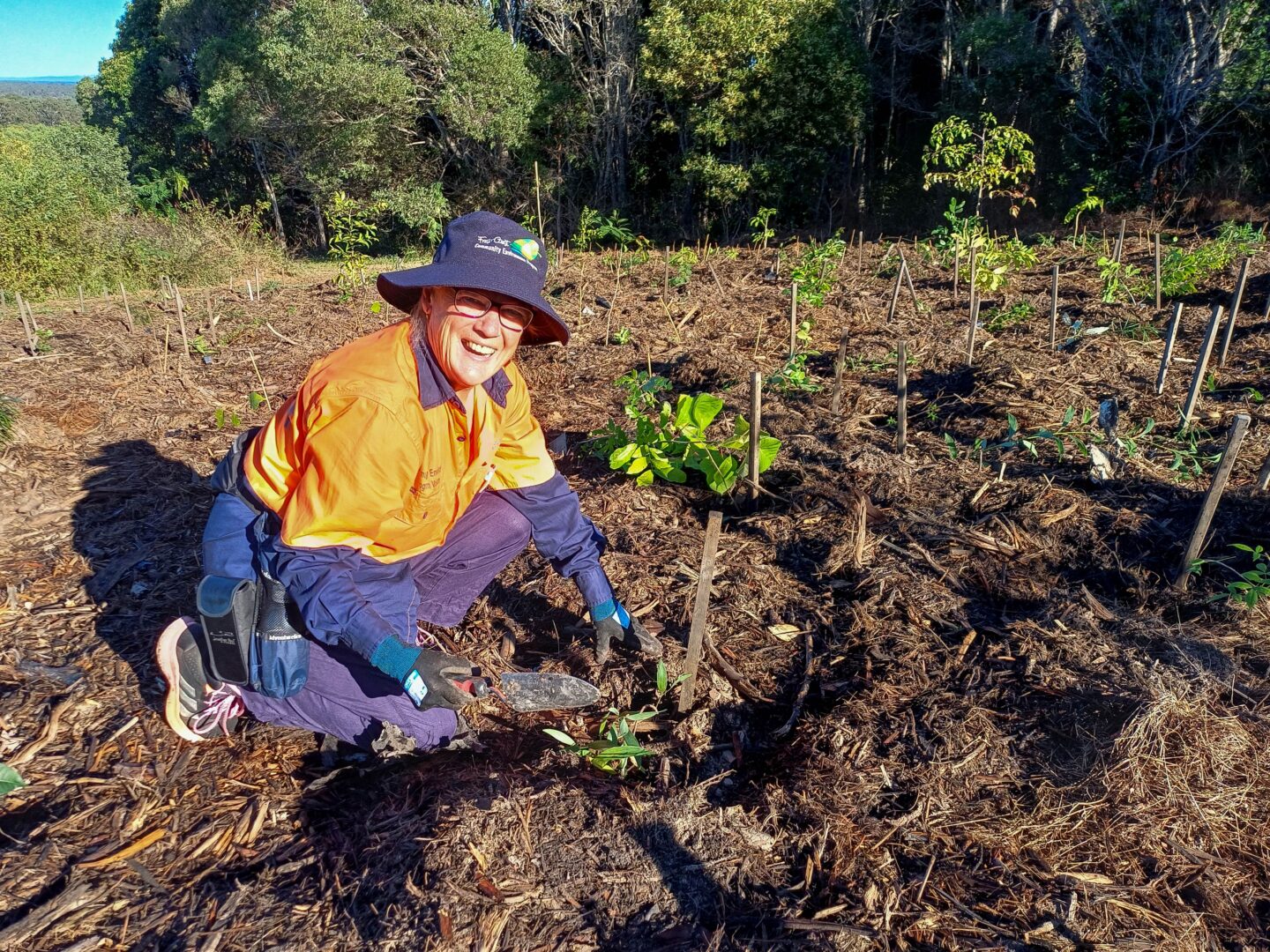 Community invited to plant Council’s 100,000th tree