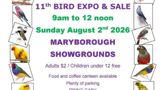Hervey Bay Bird Club 11th Annual Bird Expo