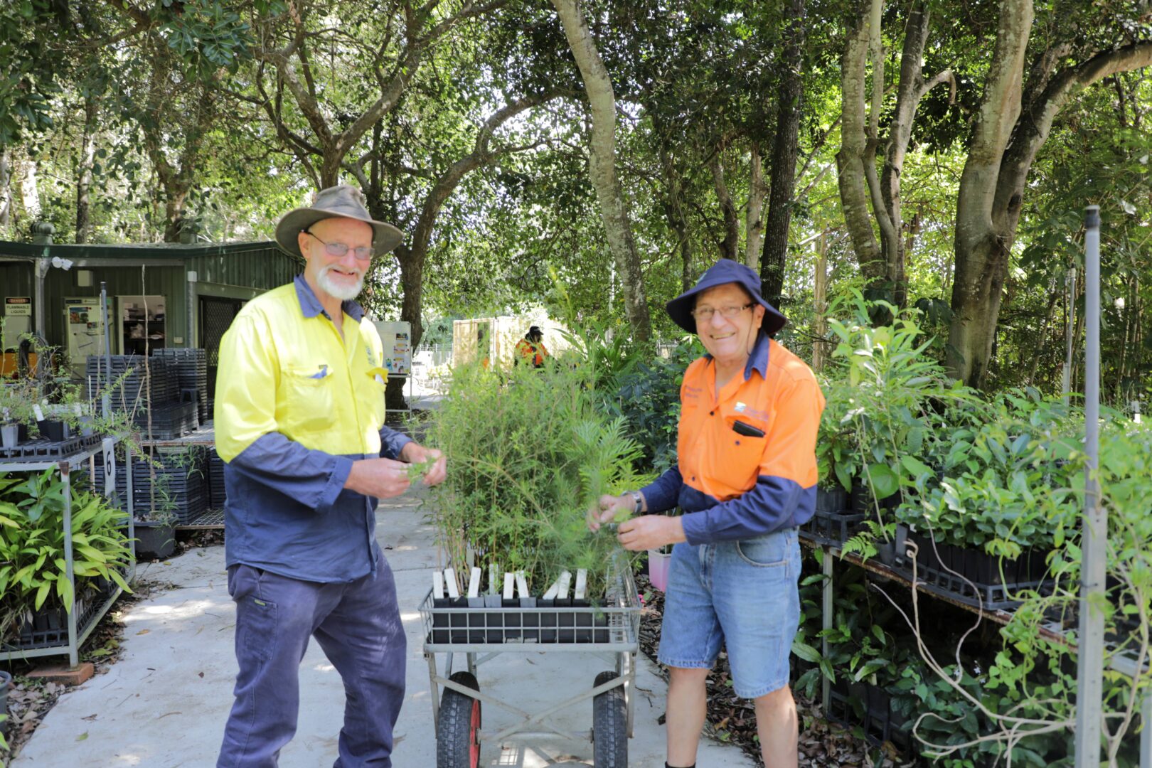 Spring in full bloom with Council plant sale