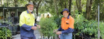 Spring in full bloom with Council plant sale