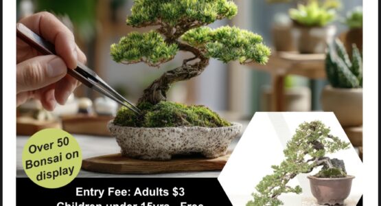 Bonsai Show